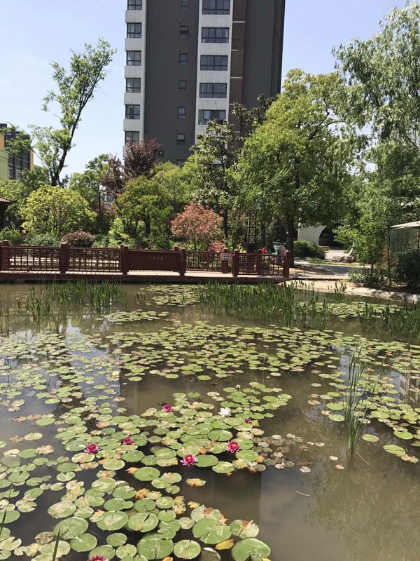 芝麻街英语徐州市邳州中心本地风景